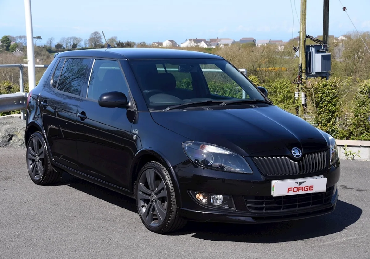 Škoda Fabia 2011 — rent a car Novi Sad Tigar